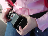 seatbelt 